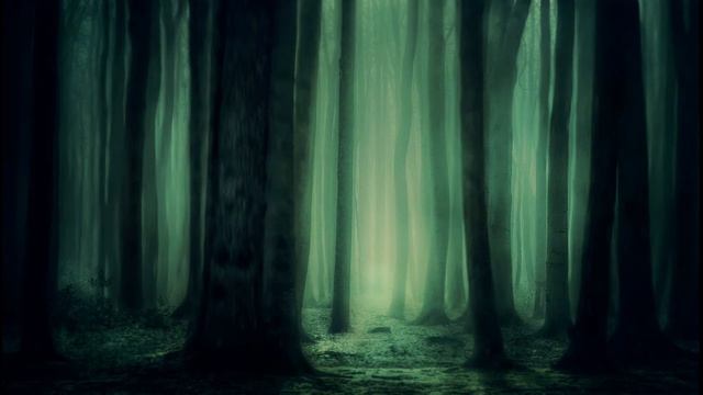 Dark forest Ambience | Meditation Music | Sounds of dark misty forest | Deep meditation смотреть онлайн