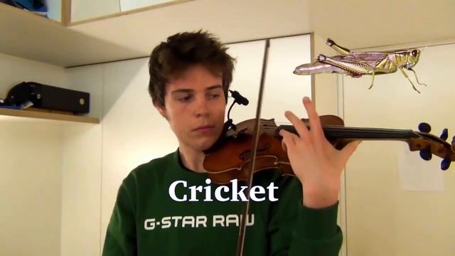 Звуки природы на скрипке смотреть онлайн