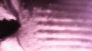 Обслуживание задних суппортов  Almera N 16 E