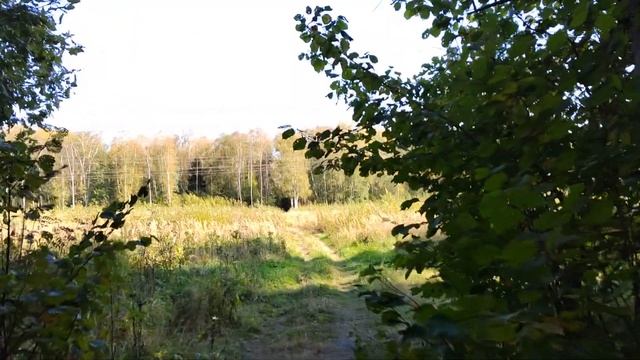 Оставим ее на потом смотреть онлайн