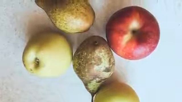 Дизайн Одежды