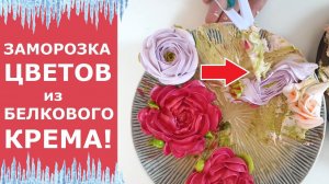 Заморозка цветов из белкового крема. Белково-заварной крем. Что будет после ЗАМОРОЗКИ?