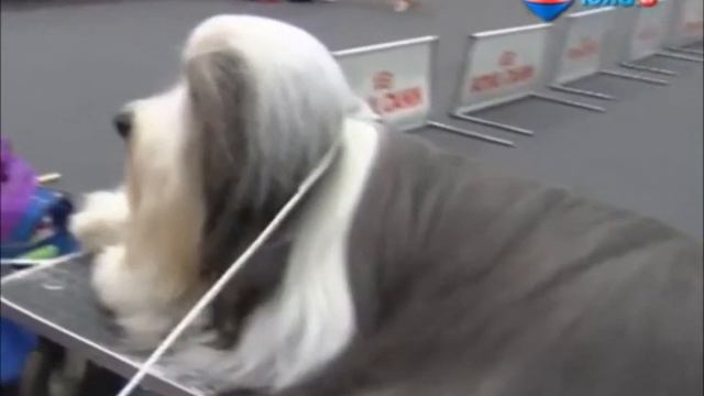 Огни Прикамья смотреть онлайн