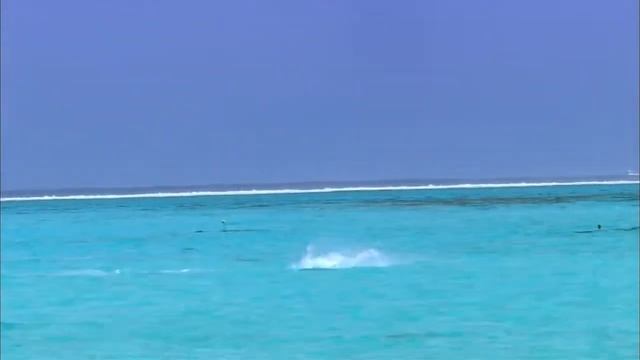 Лучший пляжный отдых в райском месте на острове Бора Бора / Bora Bora смотреть онлайн