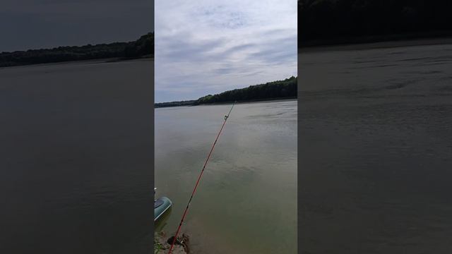 Рыбалка Супер. Ловля на донки Сазана, Леща, Язя. Двое суток на Реке. смотреть онлайн