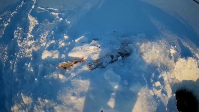 проверка сетей и закрытие сезона на оби смотреть онлайн