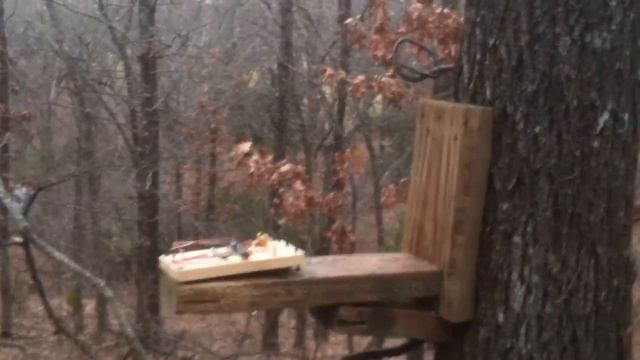 rat trap modified for squirrels 1 смотреть онлайн