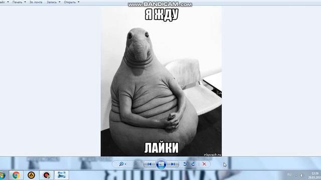 Как создать мем и где смотреть онлайн