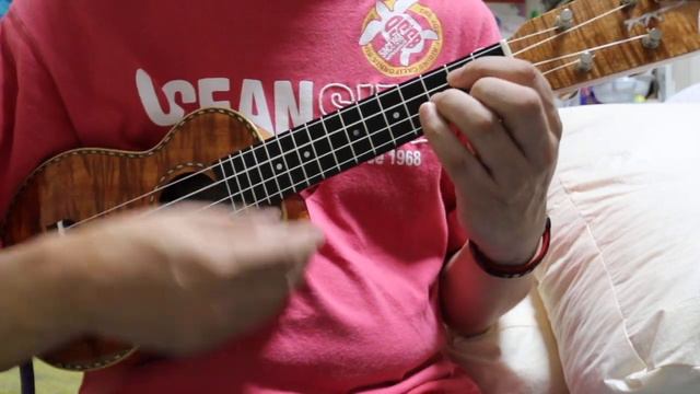 The Times They Are a-Changin' - Bob Dylan instrumental cover смотреть онлайн