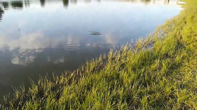 РЫБАЛКА И ОТДЫХ НА ВОЛГЕ. АВГУСТ 2022. смотреть онлайн