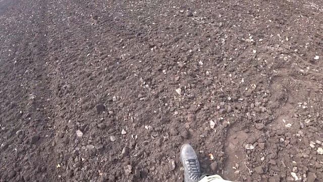 МТЗушки.Готовим землю под ЛУК!!! ЖЕСТЬ!!! смотреть онлайн