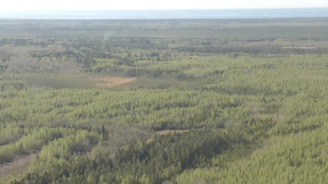 на вертолете из Волхова в Пашу смотреть онлайн