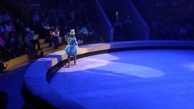 "ВЕСЁЛЫЕ И ЛОВКИЕ СОБАЧКИ", ШОУ "ДЕВОЧКА И СЛОН", ВОРОНЕЖСКИЙ ЦИРК смотреть онлайн