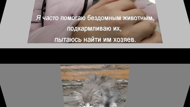 Я волонтер МОУ Верхнесинячихинская СОШ№3 Чукавина Светлана смотреть онлайн