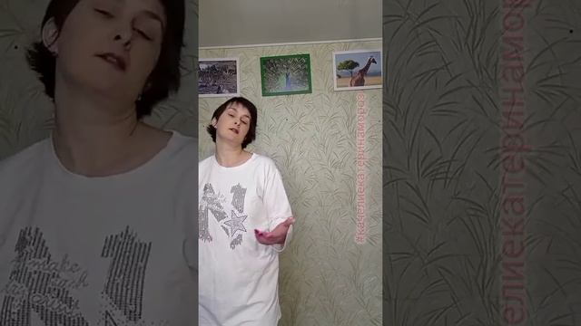 Качели гнездо гамак для дома и дачи легкие смотреть онлайн