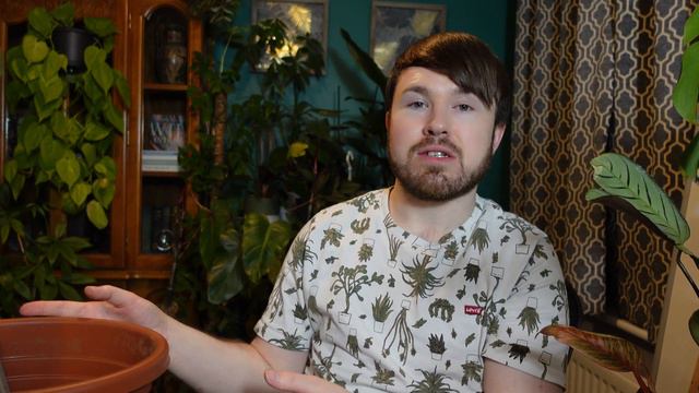 Planting Caladium Bulbs and De-Eying Demo (Updated) with Caladium Care Guide смотреть онлайн