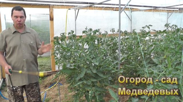 Лучше предотвратить, чем лечить смотреть онлайн