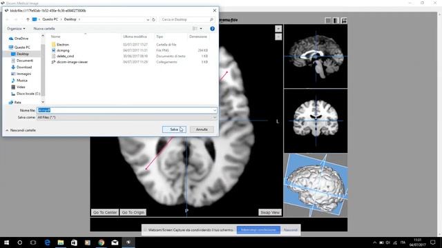 Dicom Image Viewer for Windows смотреть онлайн