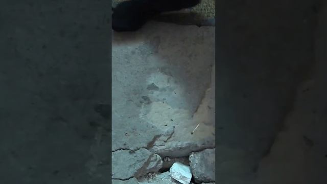 Не делай эти ошибки в ремонте, чтобы потом не пожалеть! #ремонтквартиры #ремонт смотреть онлайн