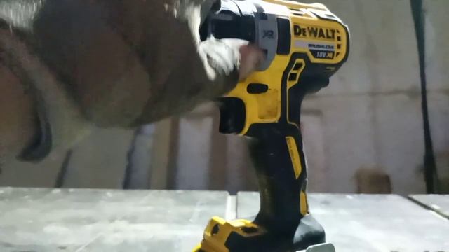DeWalt DSD 791 D2 через год использования - что за штука