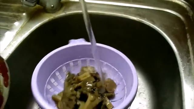 Рядовки тополевая и зеленая, вешенка Сбор и консервация смотреть онлайн