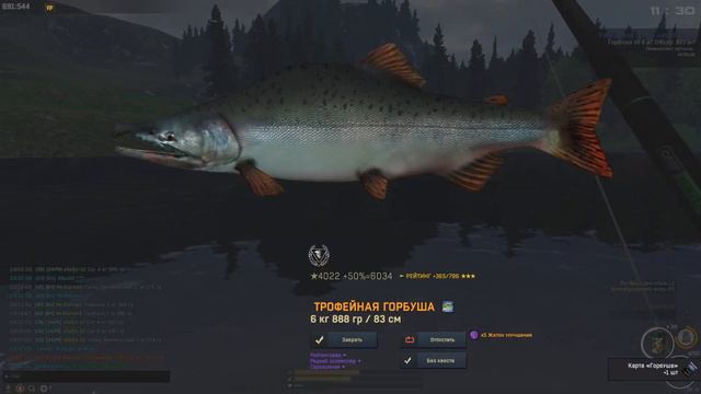 Fisher Online: Норвегия. Горбуша