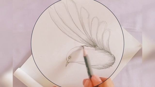 Bird sketch ?️? step by step... sketching tips for beginners.. смотреть онлайн