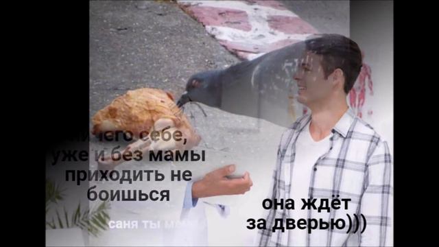МЕМЫ | ПОРЦИЯ МЕМОВ №56 смотреть онлайн