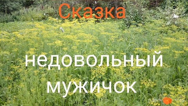 Польская сказка-сказочка.Недовольный... смотреть онлайн