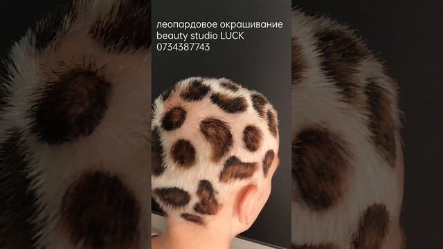 VID 20220914110247 Леопардовое окрашивание смотреть онлайн