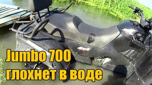 Baltmotors Jumbo 700 глохнет в воде! Устраняем неисправность!