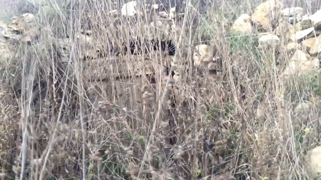 Деревня моего друга. Заброшенные дома в деревне смотреть онлайн