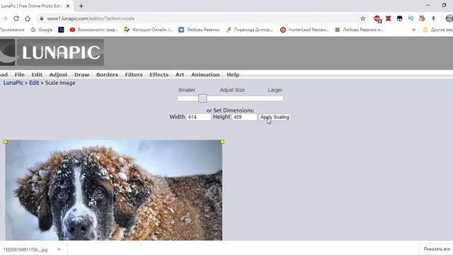 Картинки с силуэтами смотреть онлайн