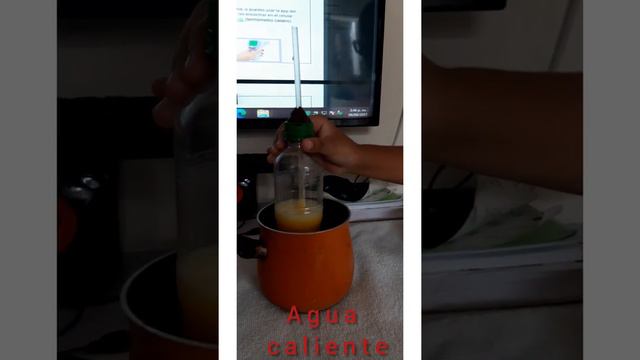 Termómetro casero Isabella Montero Jiménez смотреть онлайн