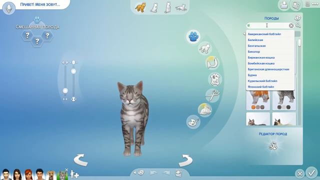 Прямая трансляция пользователя Евген Бро смотреть онлайн