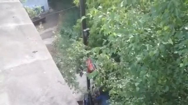 Частичный ремонт кровли на доме по ул. Блюхера, 7 смотреть онлайн