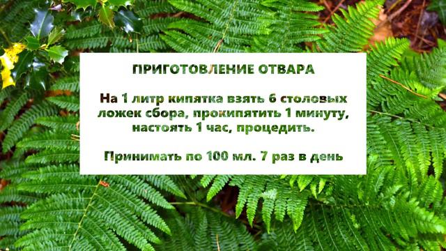 Сбор № 100. При бронхоэктатической болезни, пневмонии с абсцедированием, начинающейся гангрене легк смотреть онлайн