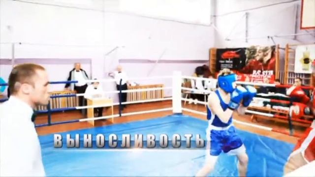 Визитка клуба ''Школа Бокса'' С/к "Салют" Д/к г. Котласа. смотреть онлайн