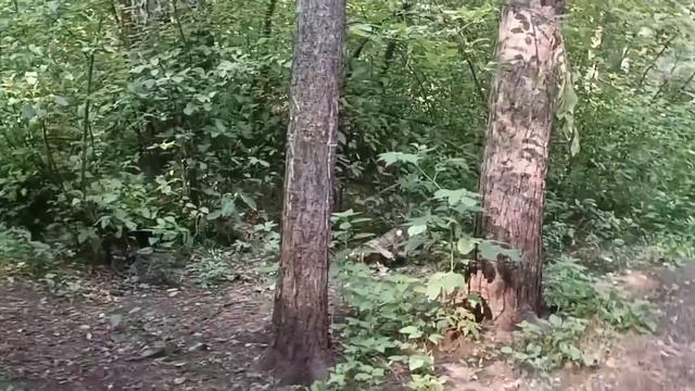 Что Купила. Удовольствия НЕ Получила-ВОЗМУЩЕНА!