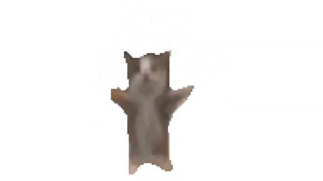 Кот шнапи поет is has to be this way: смотреть онлайн