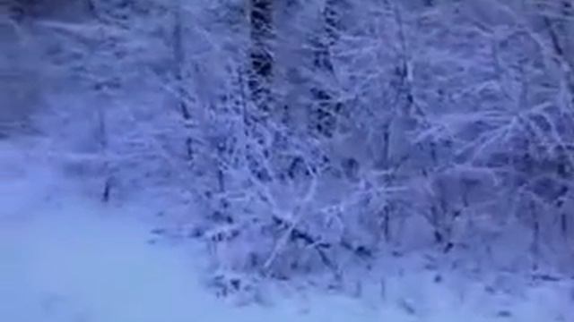 Первый снег под музыку Чайковского смотреть онлайн