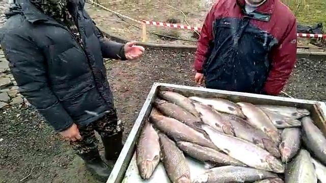 Воскресенье в Еганово смотреть онлайн