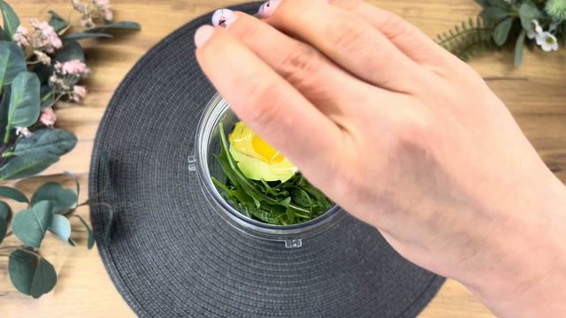 Ultimate Green Smoothie Recipe for Weight Loss смотреть онлайн