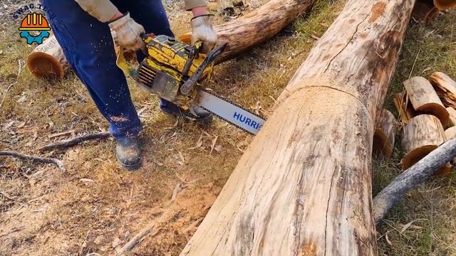 199 Dangerous Fastest Chainsaw Cutting Tree Machine Working At Another Level смотреть онлайн