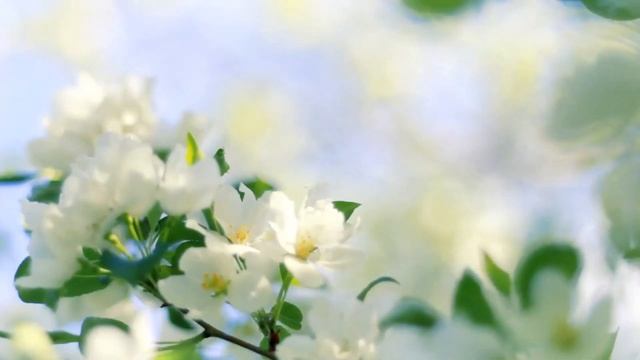 Музыка для калимбы 17 нот | Далёкий свет | Peaceful Kalimba music | Звонор смотреть онлайн