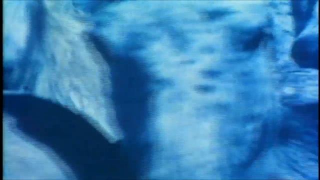 Joni Mitchell with Vinnie Colaiuta - Wild things Run Fast 1983 смотреть онлайн