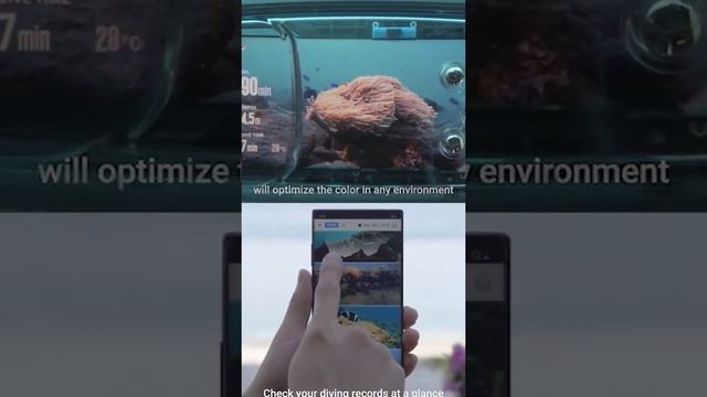 DIVEROID универсальный чехол для смартфона с дайвинг компьютером смотреть онлайн