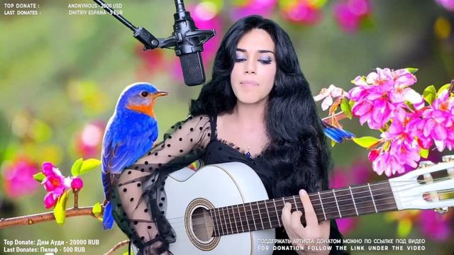 Mala Malita Mala - Elena /Yerevan/ смотреть онлайн