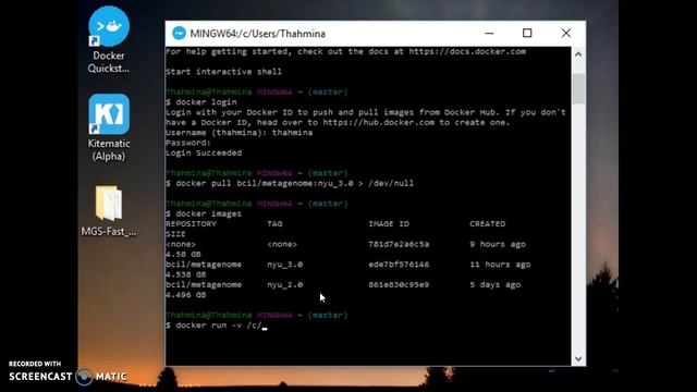 Start-up of Docker MGS-Fast pipeline on Windows смотреть онлайн