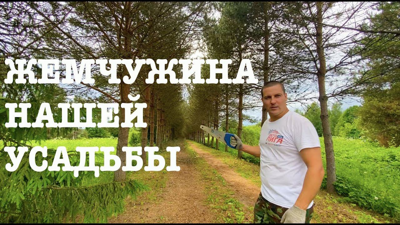 #151. Всего понемногу. Лето в деревне:) [Жизнь на своей земле] смотреть онлайн